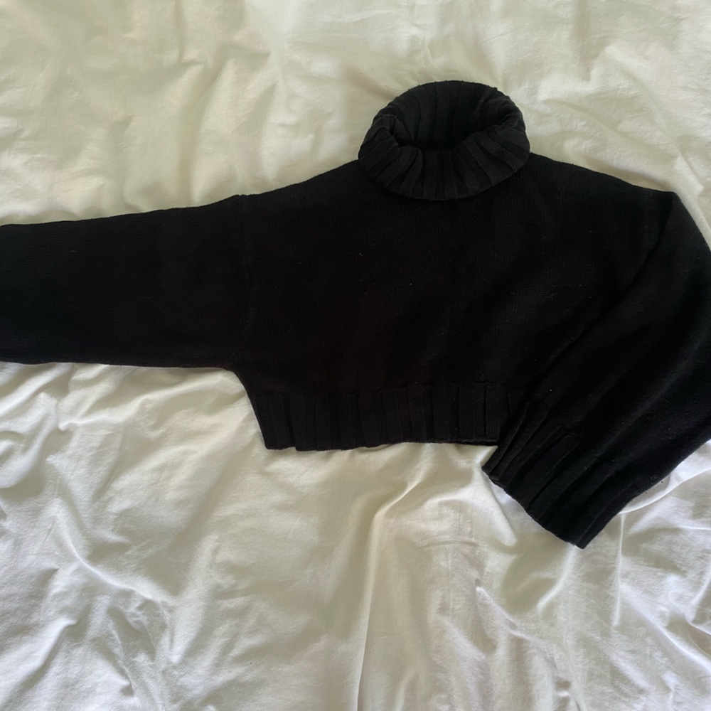 Women’s H and M Cropped Turtle Neck Sweater